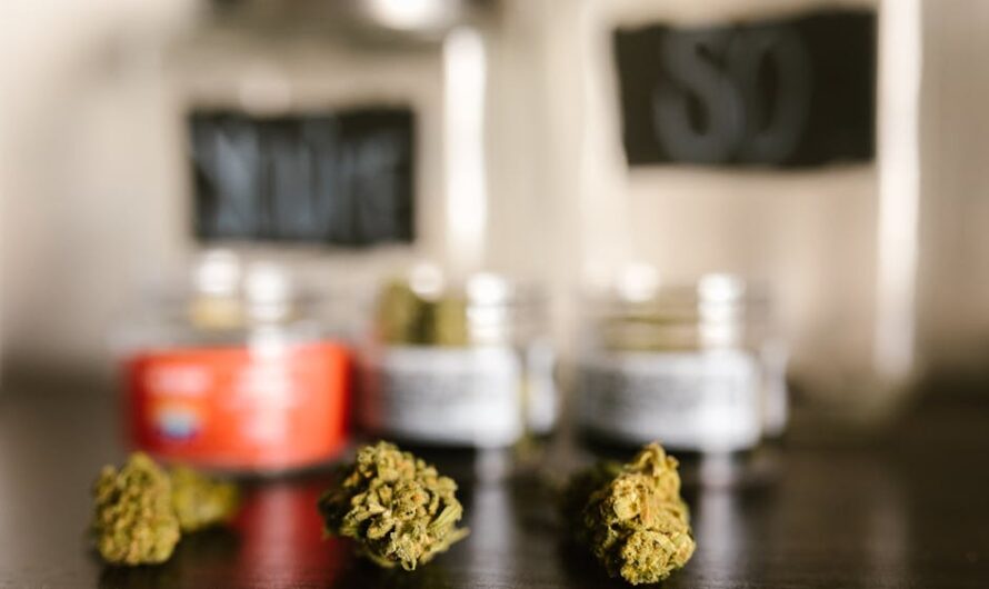 Сорта и виды семян конопли