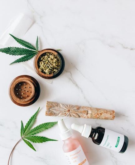 Выращивание конопли из семян подготовка и уход за рассадой