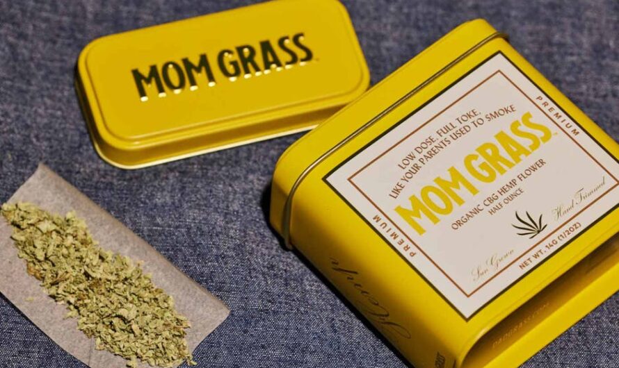 Спайс и его опасность для здоровья и жизни