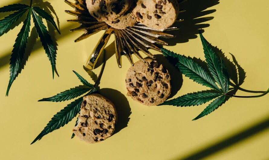 Купить семена конопли в Минске: выбор и преимущества