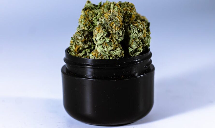 Кодеиновые препараты и их использование в медицине