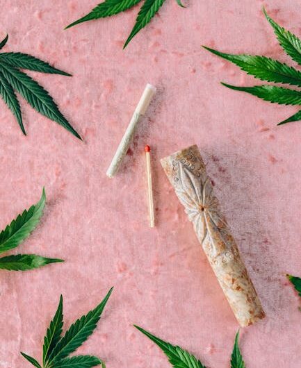 Спайс и его последствия для здоровья и закона в России