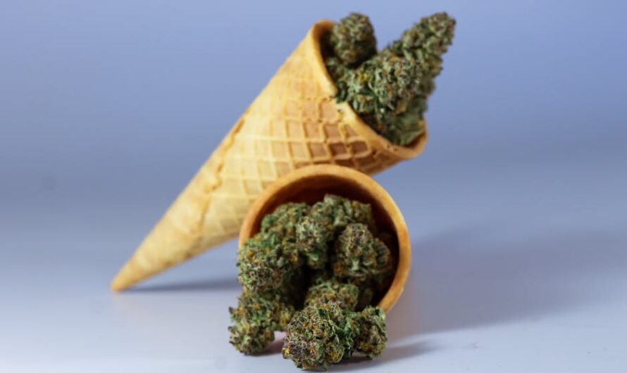 Семена конопли в Самаре: особенности приобретения и использования