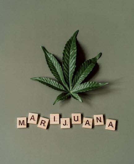 Конопляное семя и миома матки полезные свойства и применение в народном лечении