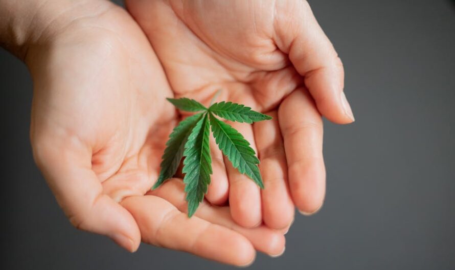 Наркозависимость и распространение наркотических веществ