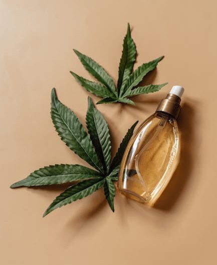 Законодательство о конопле в России