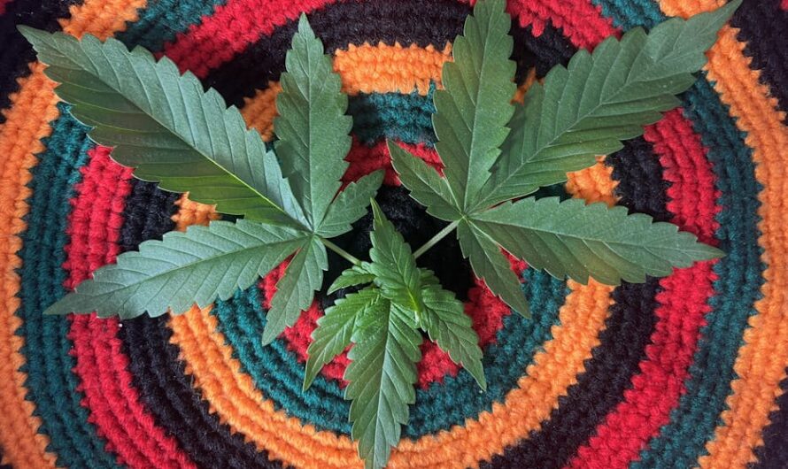 Марихуана на Бали: Легальность, Стоимость и Безопасность Приобретения