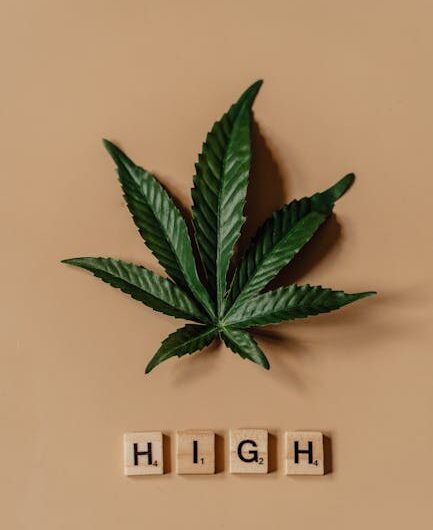 Семя конопли и амнезия полезные свойства продукта