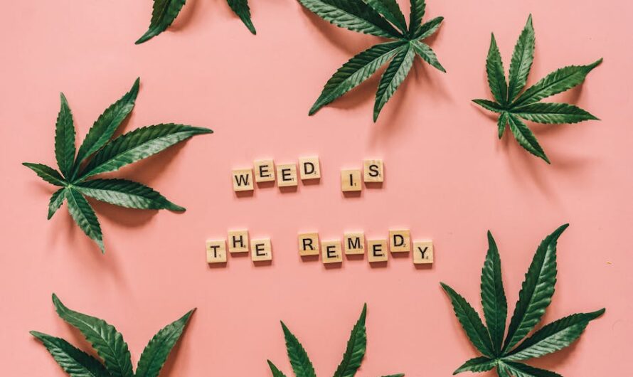 Купить спайс в Салавате и его последствия