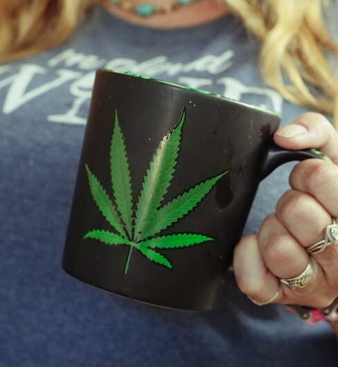 Конопля в Чехии: Правовой статус и возможности культивирования