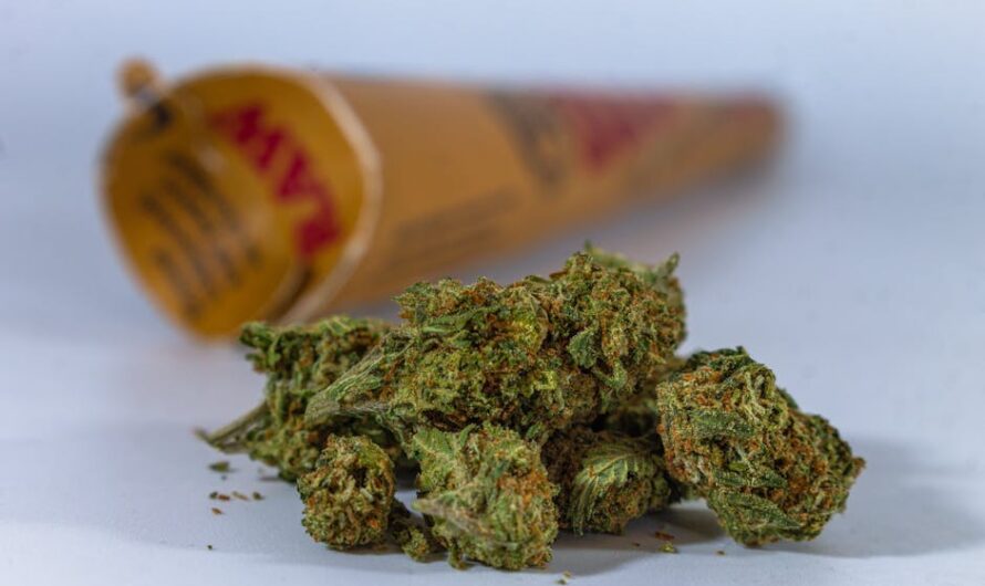 Наркотические средства и их свойства