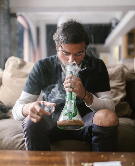 Семена конопли Pure Power Plant от Nirvana Seeds характеристики и особенности выращивания