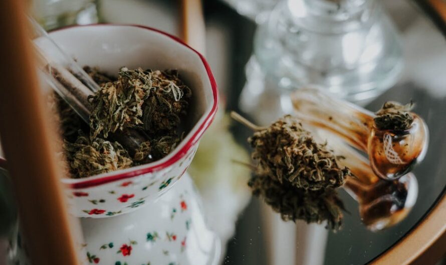 Купить семена конопли в Симферополе