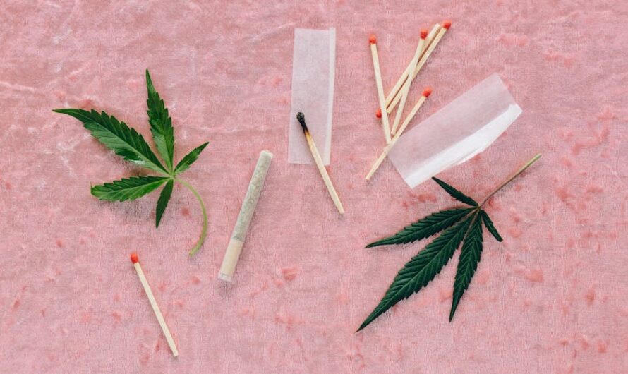 Купить семена конопли в Украине и других странах свойства и характеристики сортов и цены