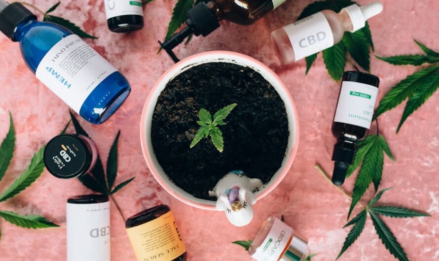 Семена марихуаны и их использование в различных целях