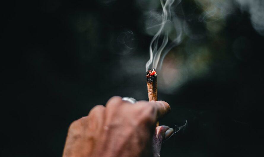 Семена конопли Auto Quick One feminised от Royal Queen Seeds