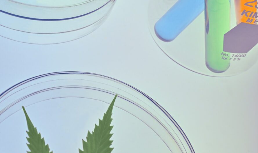 Купить гашиш в Казани