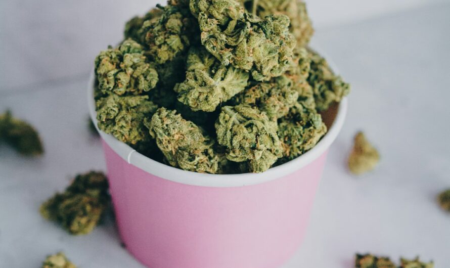 Преимущества конопляной пряжи и ее применение в рукоделии