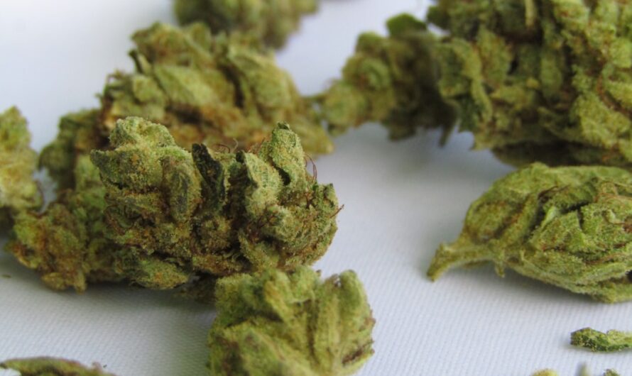 Кракен даркнет официальный сайт и его роль в даркнете