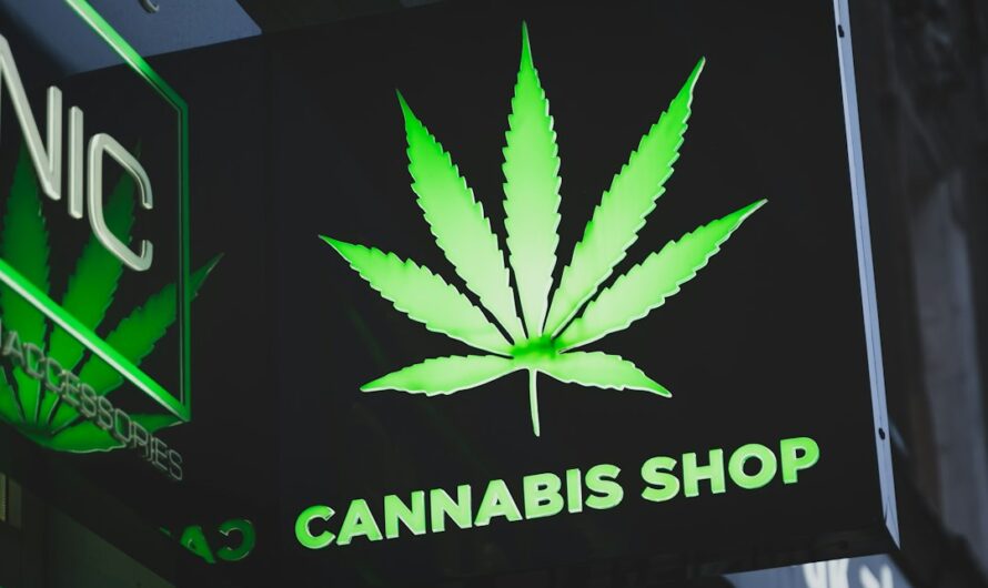 Выращивание и применение конопли в современных условиях