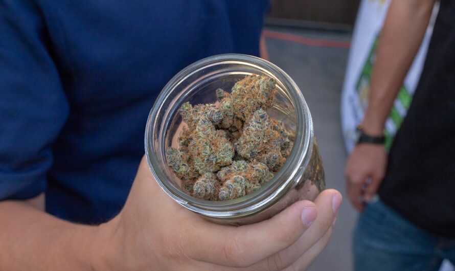 Семена конопли Auto Northern Blue regular от Ganja Seeds