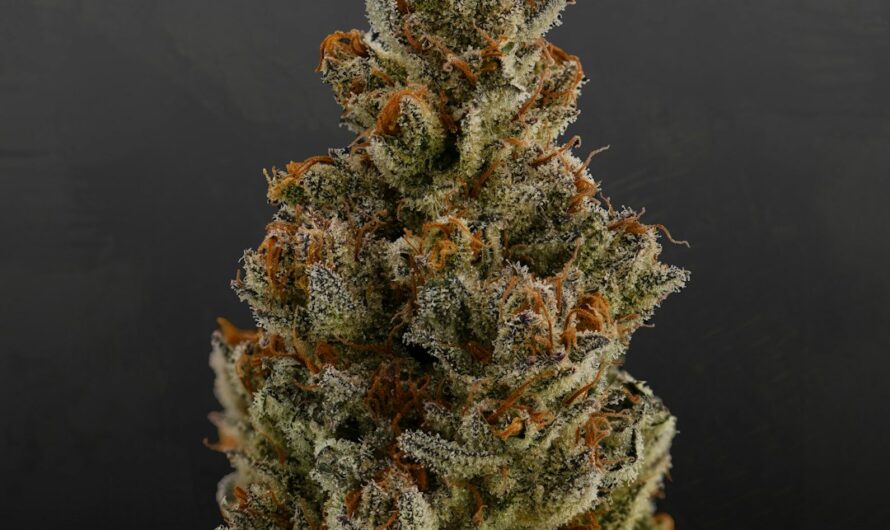 Героин свойства и приобретение