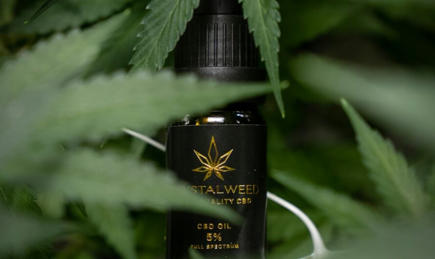 Покупка семян конопли онлайн: преимущества и нюансы приобретения