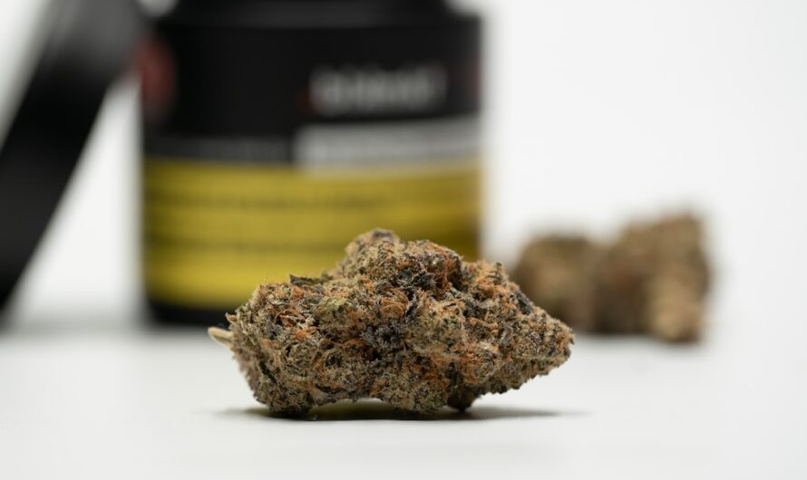 Освещение для выращивания марихуаны