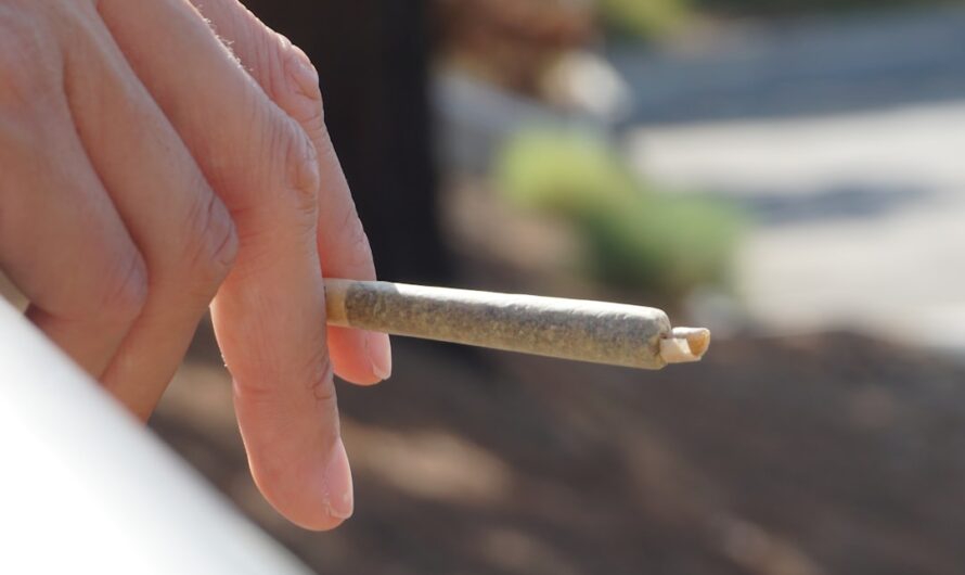 Приобретение гашиша в Санкт-Петербурге