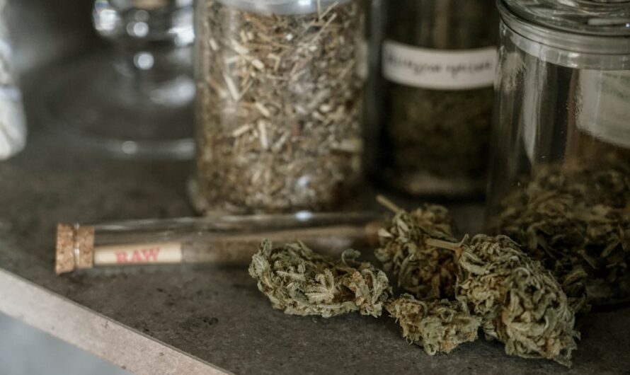 Семена конопли свойства и польза для здоровья