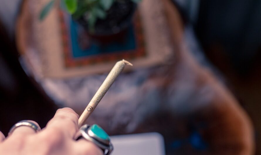 Свойства и Применение Семени Конопли