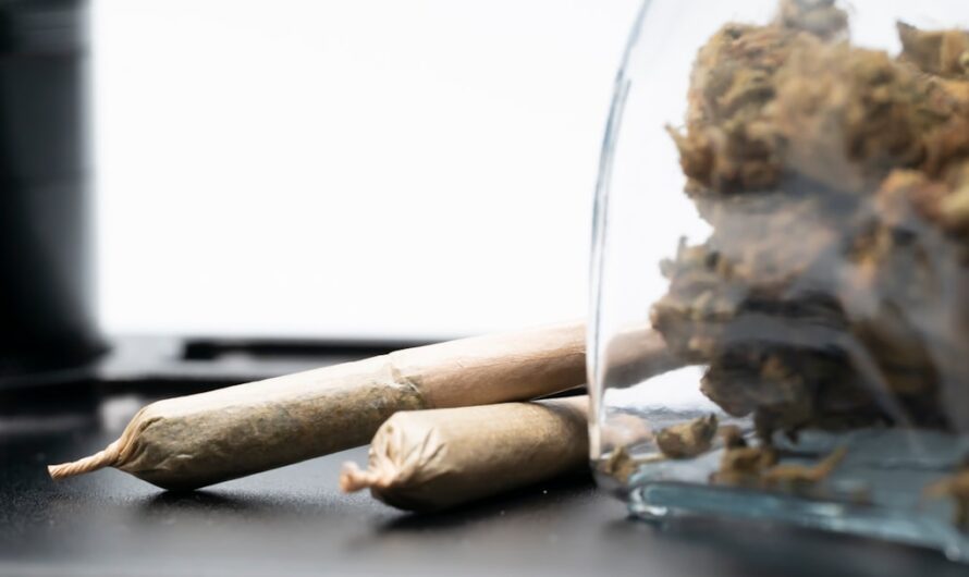 Сорт конопли Himalaya Gold feminised от компании Ganja Seeds