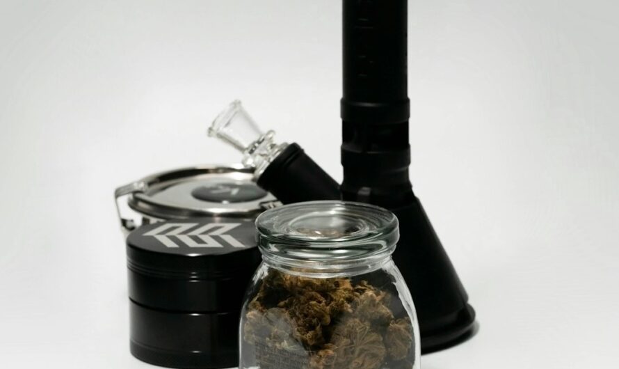 Семена конопли сидс для выращивания и еды