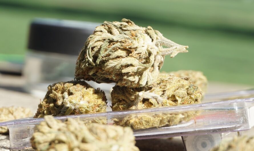 Mitsubishi Delica Space Gear описание и преимущества автомобиля