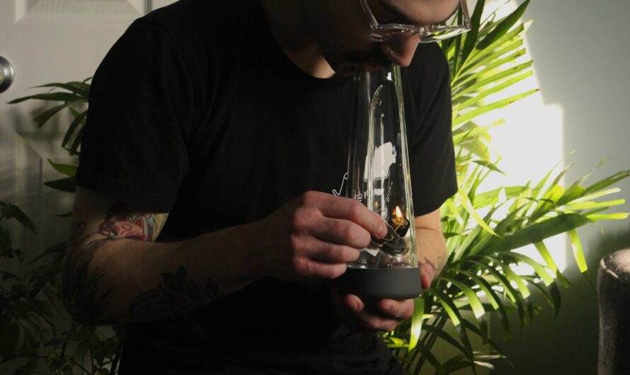 Сорт конопли АК 47 характеристики и преимущества выращивания