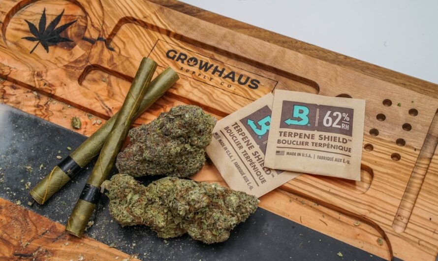 Семена конопли и их использование