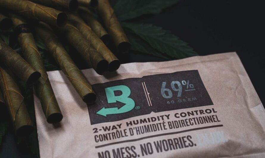 Характеристика сорта конопли Hollands Hope и преимущества феминизированных семян конопли от Dutch Passion