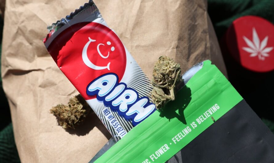 Покупка семян конопли онлайн: как выбрать лучшие семена и где их купить