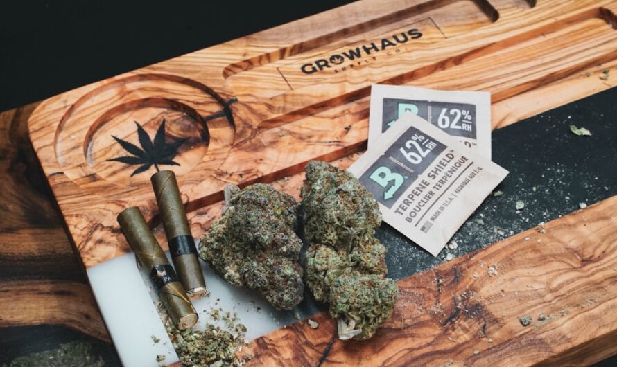 Купить семена конопли: где и как приобрести качественные семена