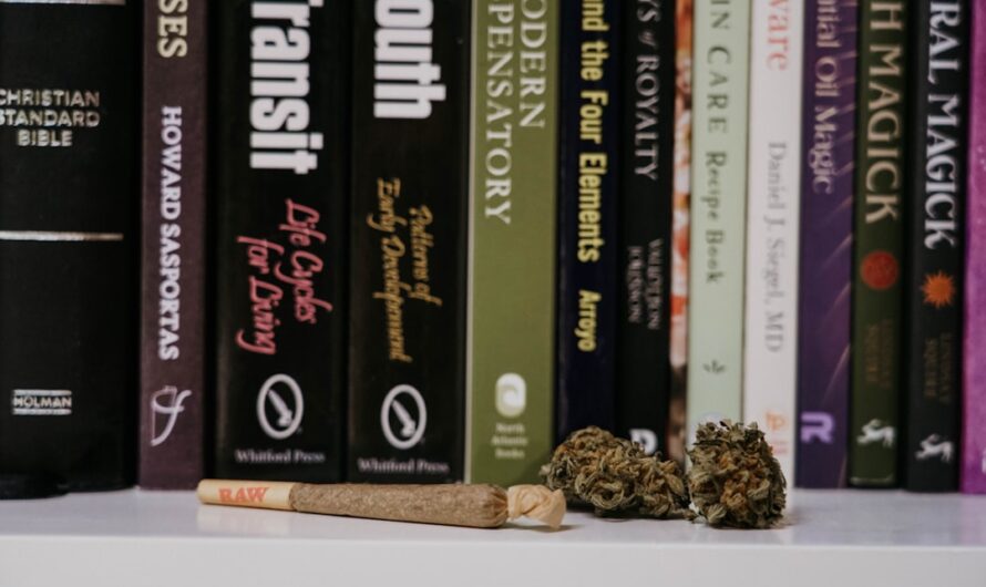 Выращивание конопли с нуля подготовка и проращивание семян конопли для успешного урожая