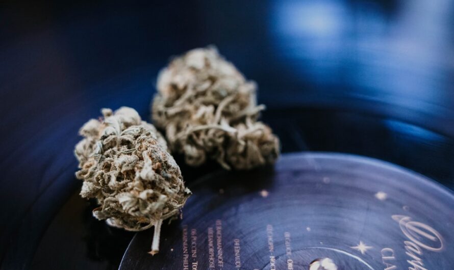 Особенности продажи кодеин содержащих препаратов