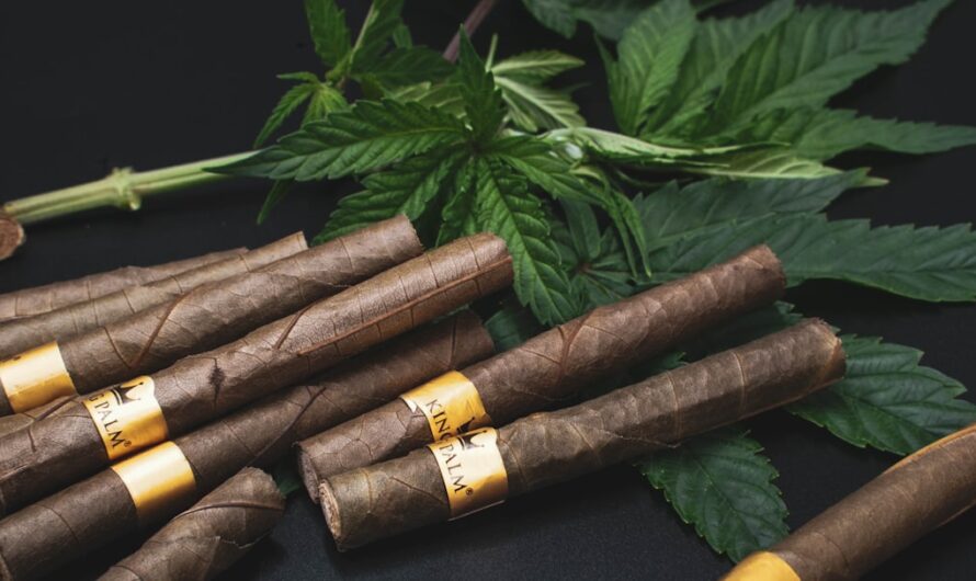 Качественные семена марихуаны для успешного выращивания