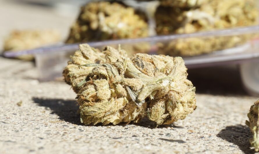 Правила отпуска кодеинсодержащих препаратов в аптеках России