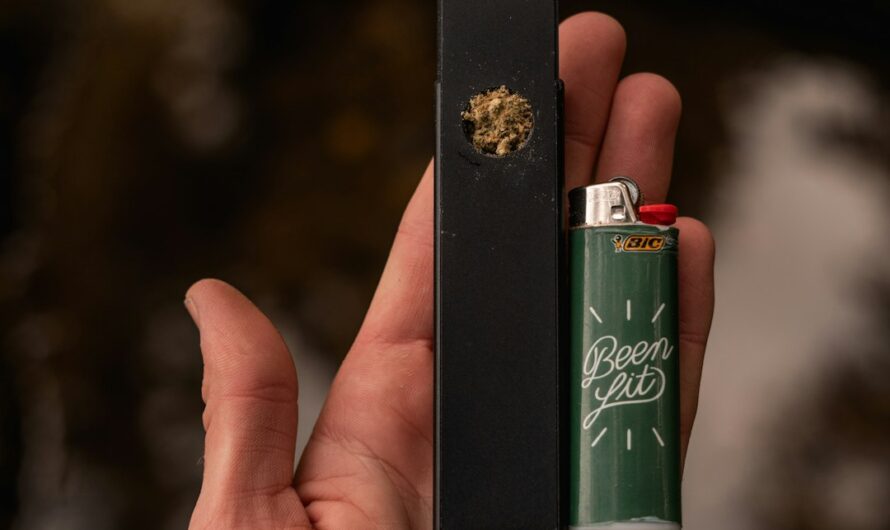 Косметика Total Spice: Обзор Пудреницы и Где Ее Купить