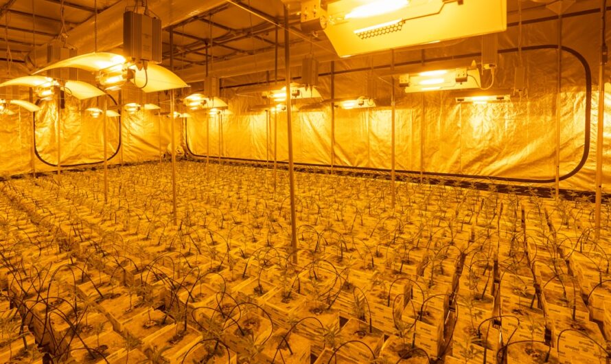 Скорость наркотик свойства и эффекты употребления