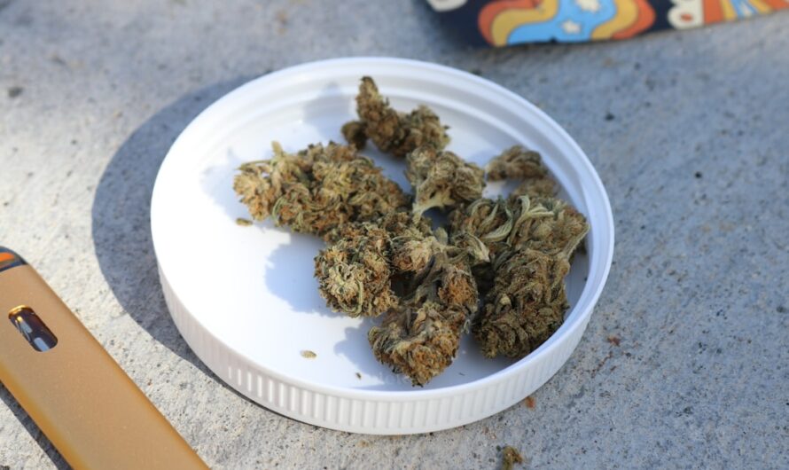 Сорт конопли Chronic Thunder feminised от Barneys Farm