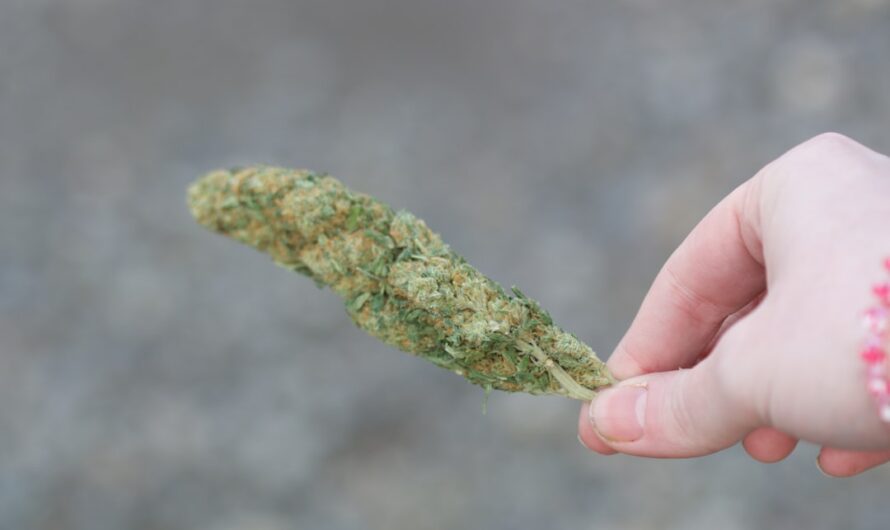 Легальные наркотики в аптеках: что нужно знать