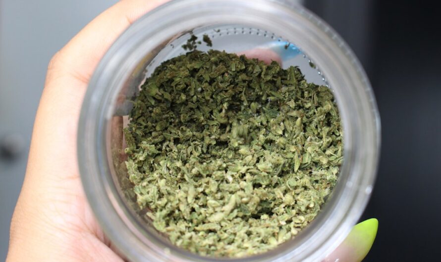 Медицинская марихуана и ее применение