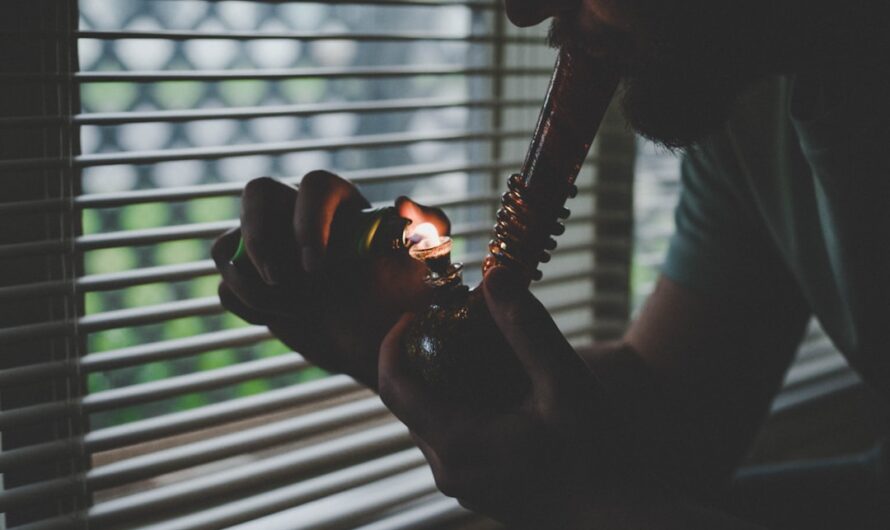 Семена конопли как приманка для ловли леща