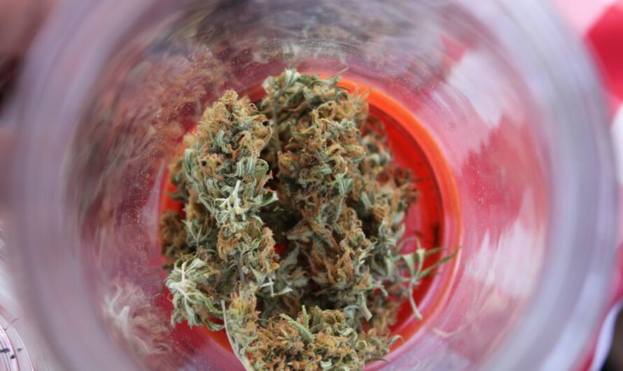 Купить марихуану онлайн в России просто и безопасно